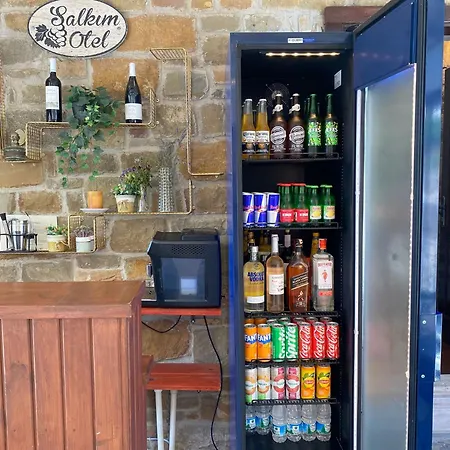 Hotel Salkim Goekceada